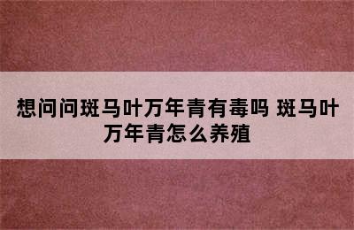 想问问斑马叶万年青有毒吗 斑马叶万年青怎么养殖